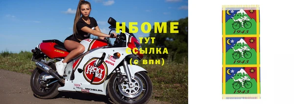 стафф Надым