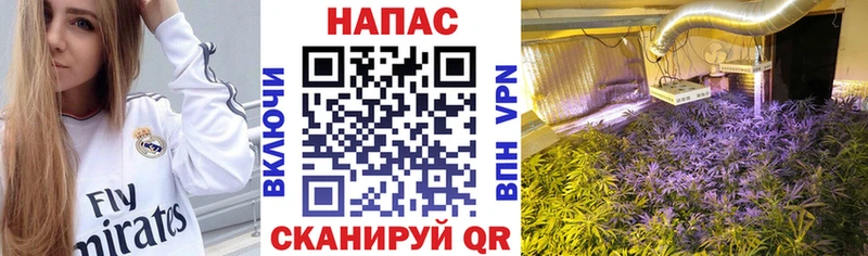 Бошки Шишки MAZAR  Купить  Калуга 